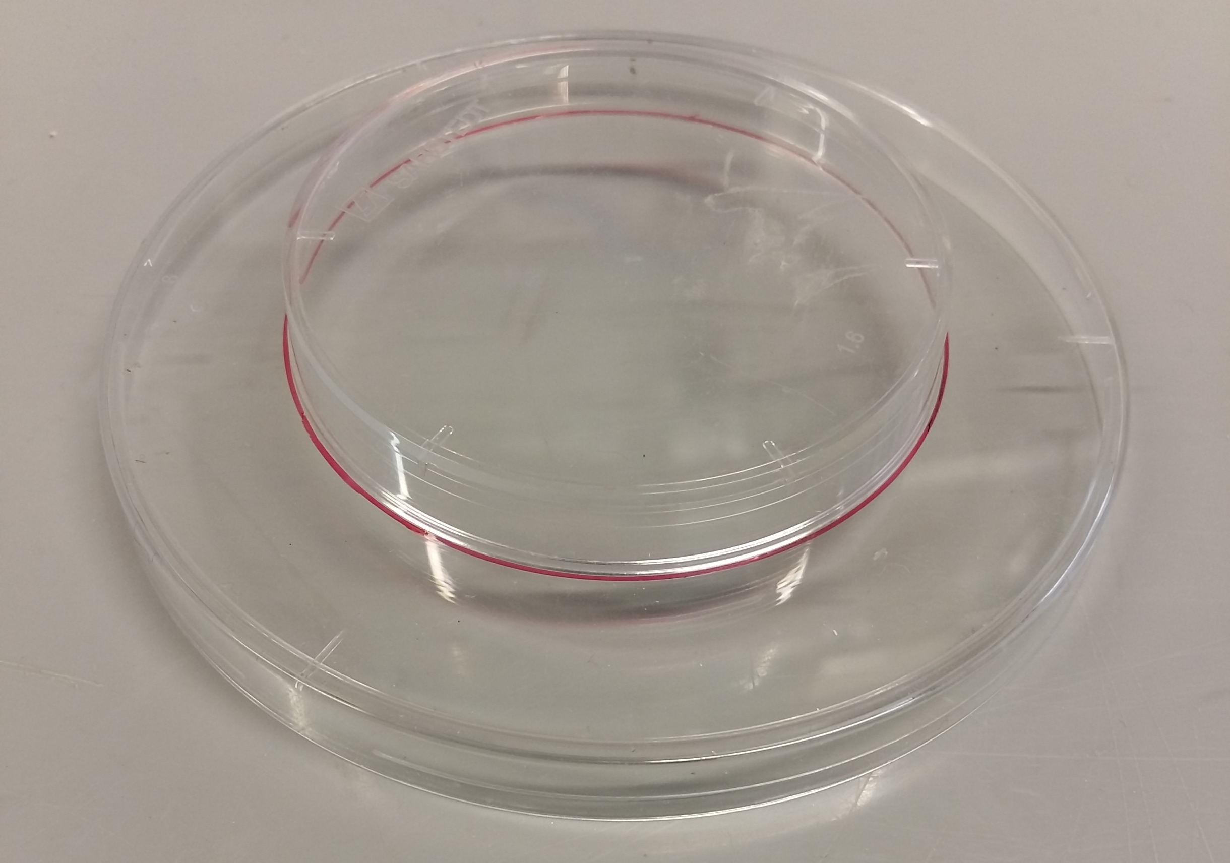 Reference for the opening in the larger petri dish.