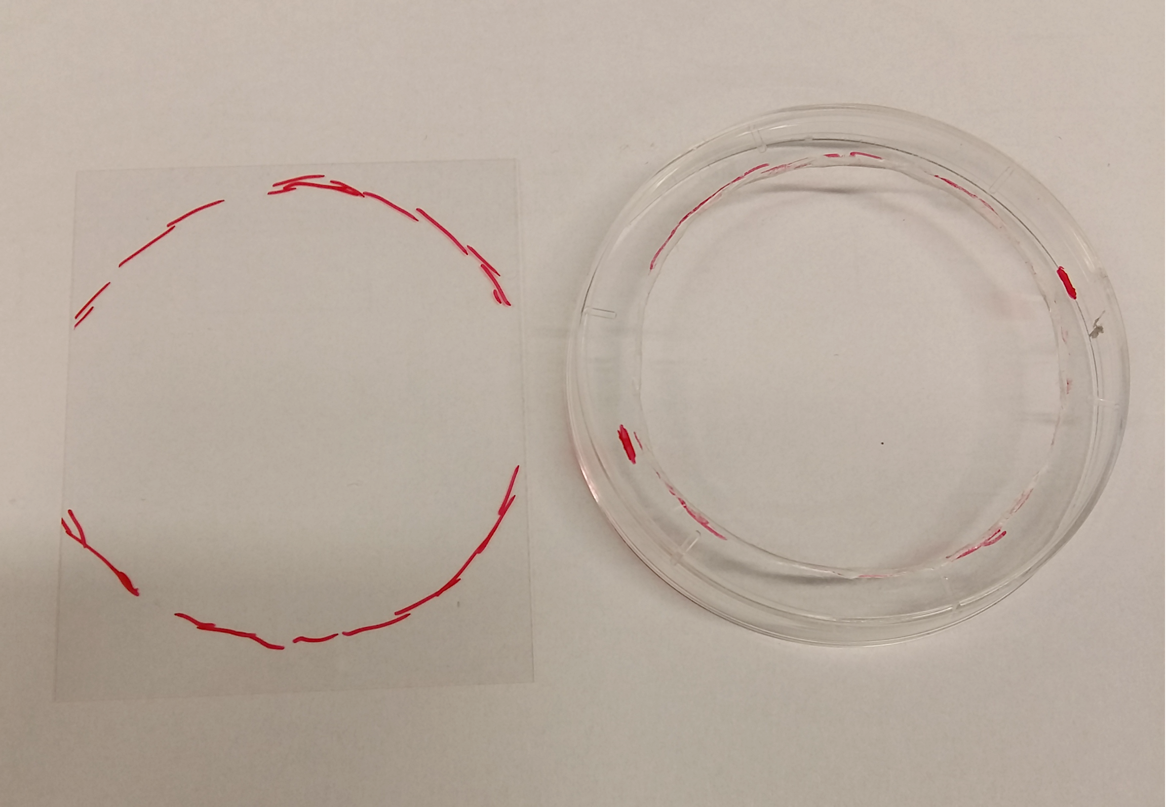 Marking the desired outline of the cover slip.
