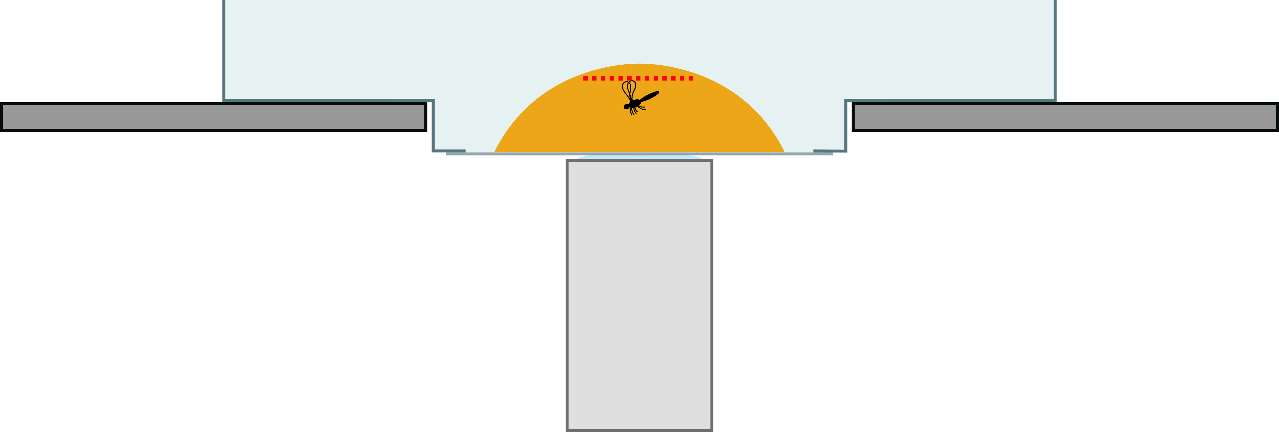 Scheme of the microscopic setup with the special container. Note the position of the focal plane (red dotted line).