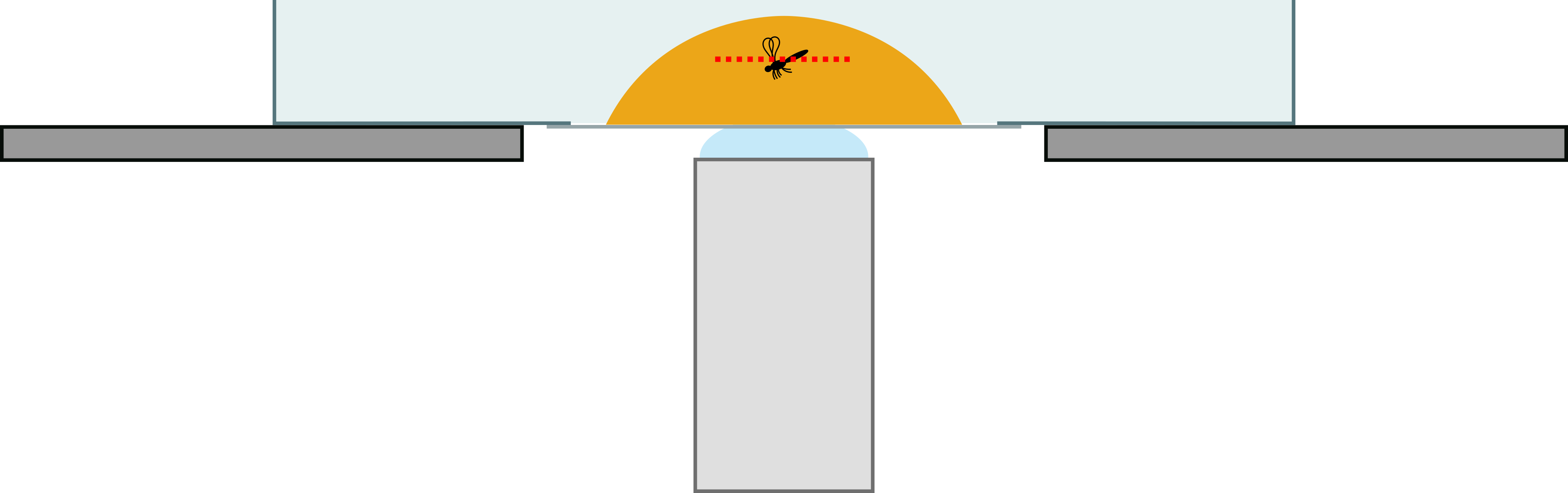 Scheme of the microscopic setup without the special container. Note the position of the focal plane (red dotted line).